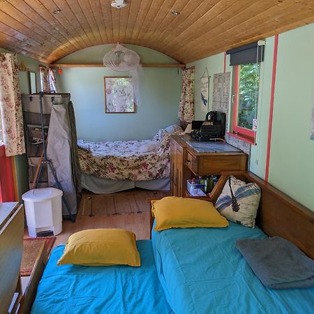 Rosa The Cosy Cabin - Gypsy Wagon - Shepherds Hut, River Views Off-Grid Eco Living Pedrogao Grande Eksteriør billede