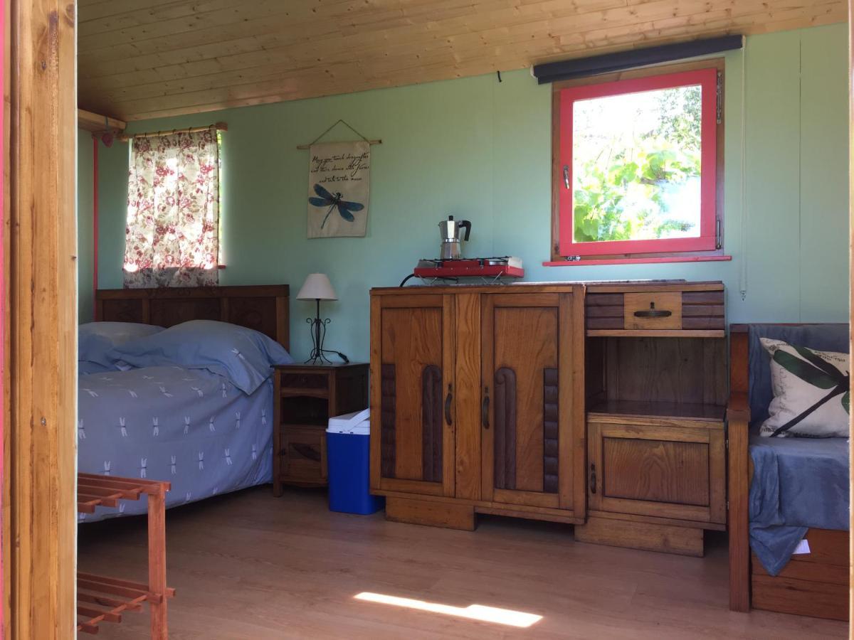 Rosa The Cosy Cabin - Gypsy Wagon - Shepherds Hut, River Views Off-Grid Eco Living Pedrogao Grande Eksteriør billede