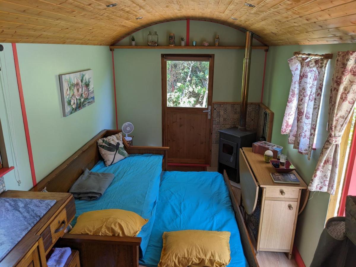 Rosa The Cosy Cabin - Gypsy Wagon - Shepherds Hut, River Views Off-Grid Eco Living Pedrogao Grande Eksteriør billede
